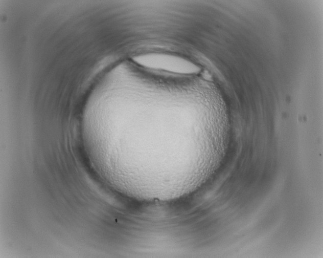 X0000074960071200609291923