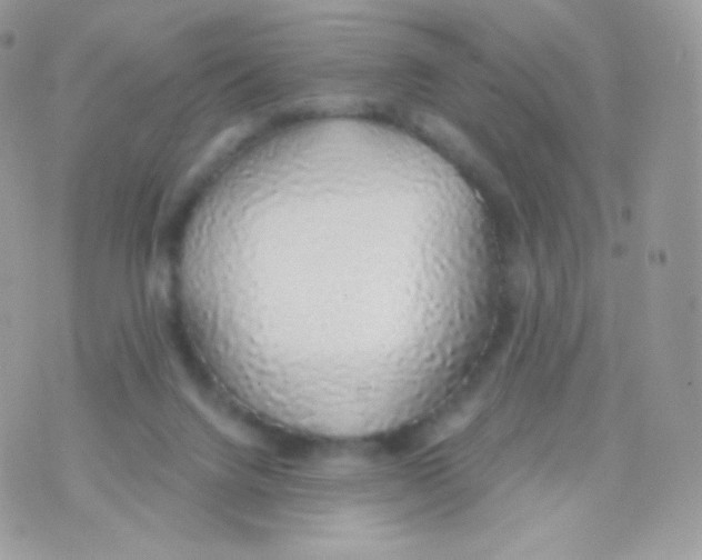 X0000074960072200609291923