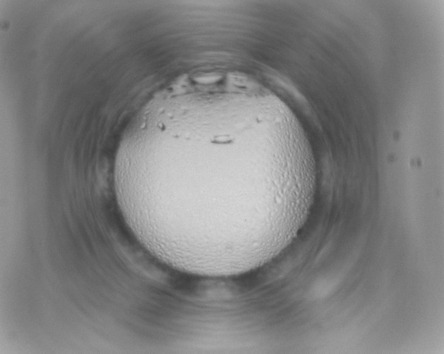 X0000074960073200609291923