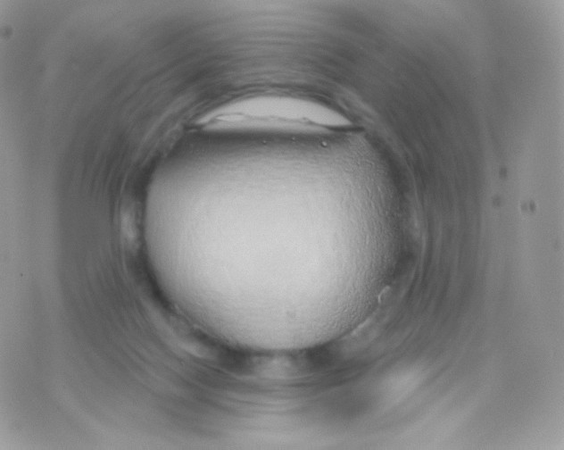 X0000074960074200609291923