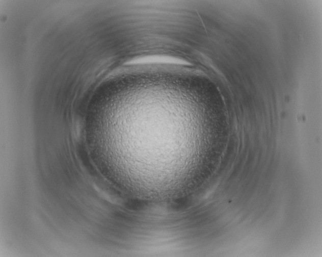 X0000074960076200609291923