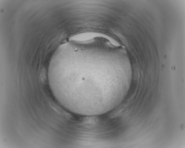 X0000074960077200609291923