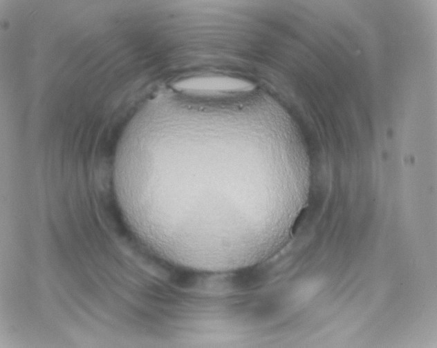 X0000074960078200609291923