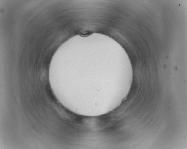 X0000074960079200609291923