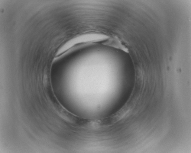 X0000074960080200609291923