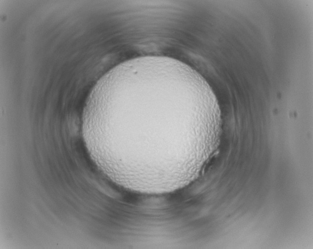 X0000074960081200609291923