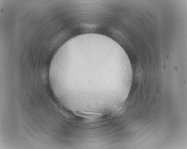 X0000074960082200609291923