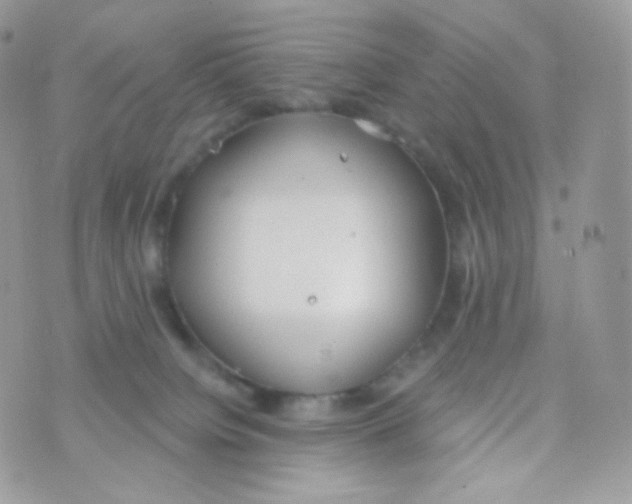 X0000074960084200609291923