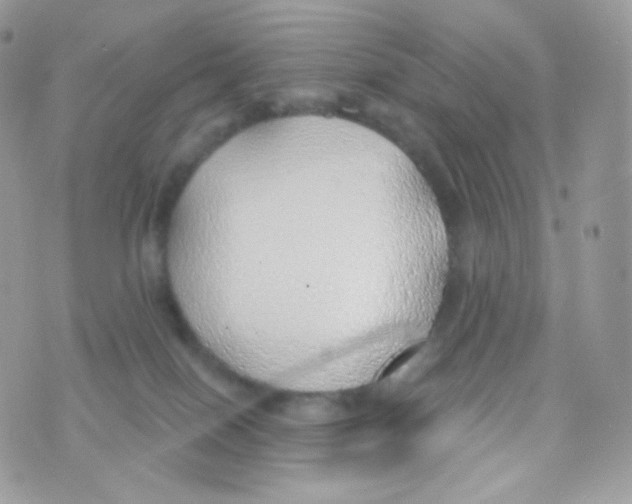 X0000074960086200609291923