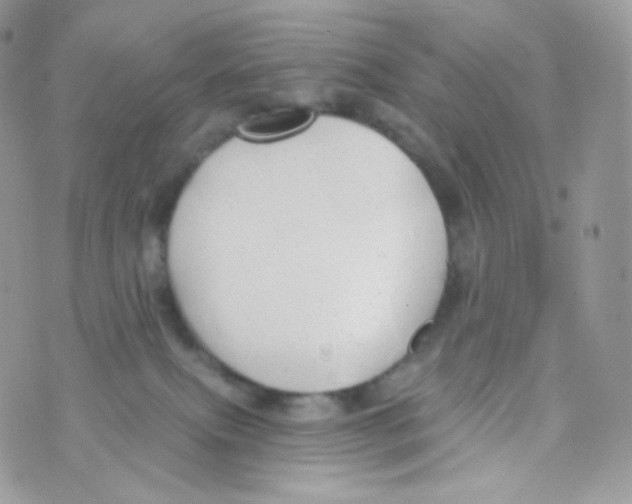 X0000074960087200609291923