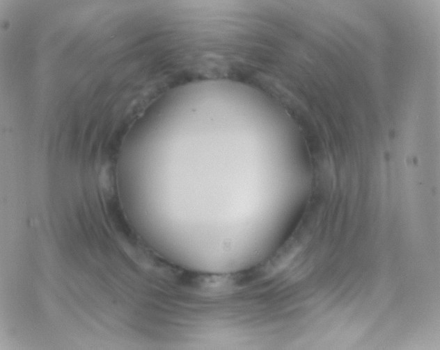 X0000074960088200609291923