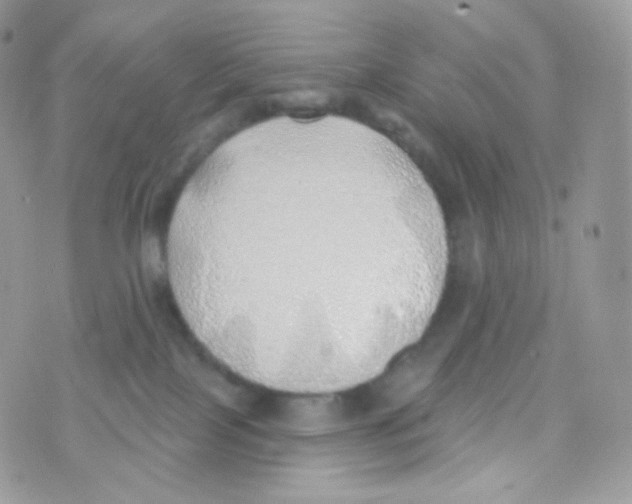 X0000074960089200609291924