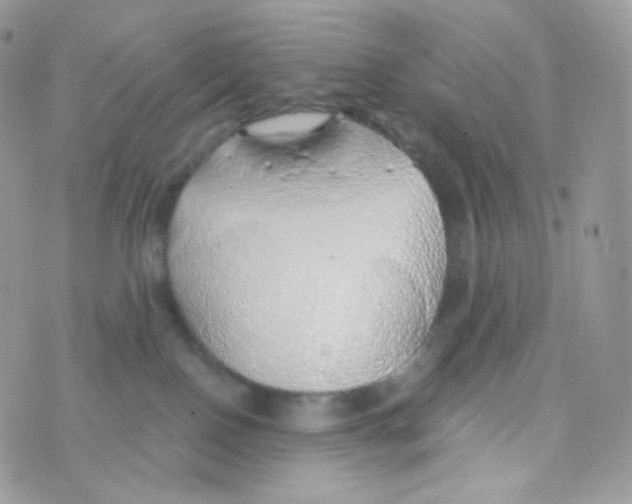 X0000074960090200609291924