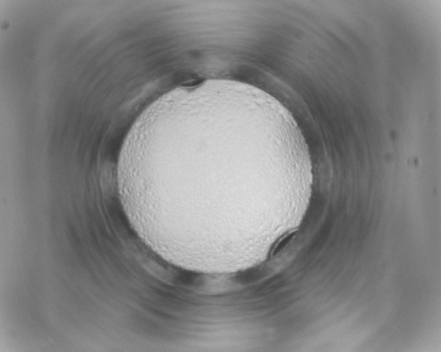 X0000074960093200609291924