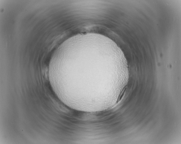 X0000074960094200609291924