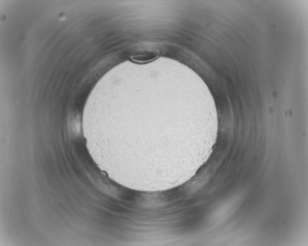 X0000074960095200609291924