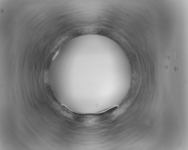 X0000074960096200609291924