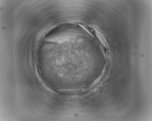 X0000074960097200609291923