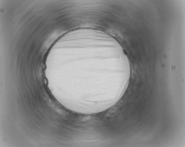 X0000074960098200609291923