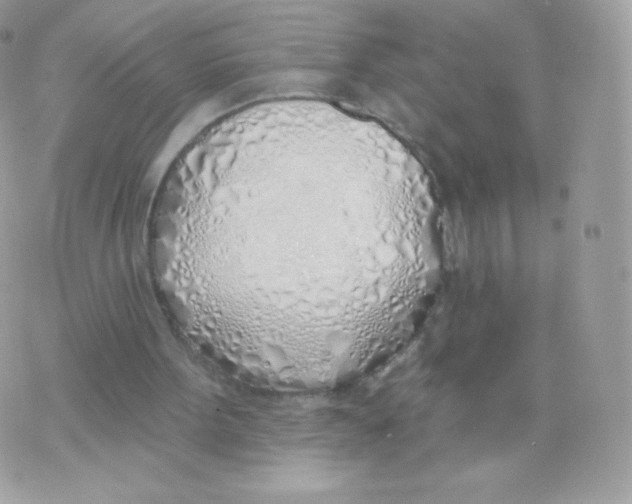 X0000074960099200609291923