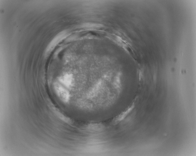 X0000074960101200609291923