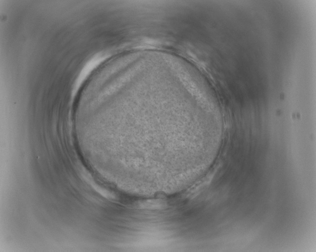 X0000074960102200609291923