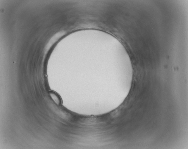 X0000074960104200609291923