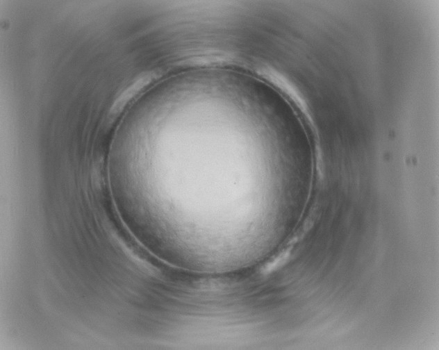 X0000074960105200609291923