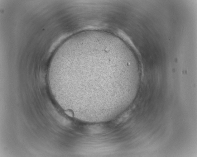 X0000074960106200609291923