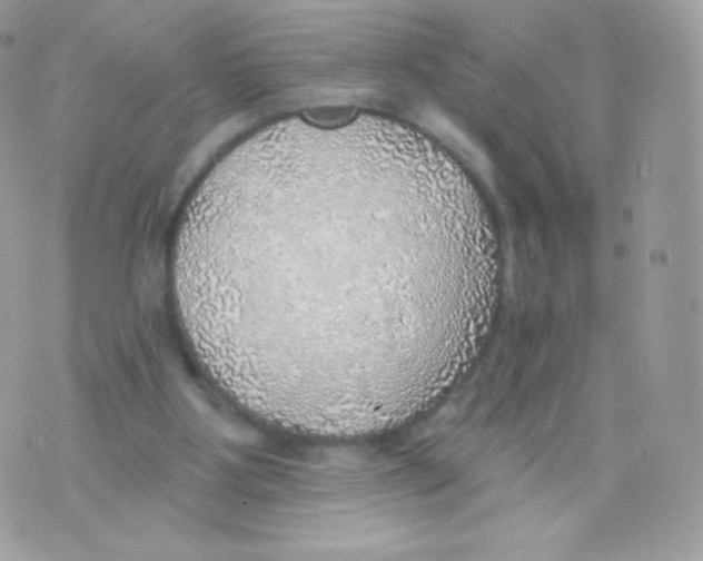 X0000074960107200609291923