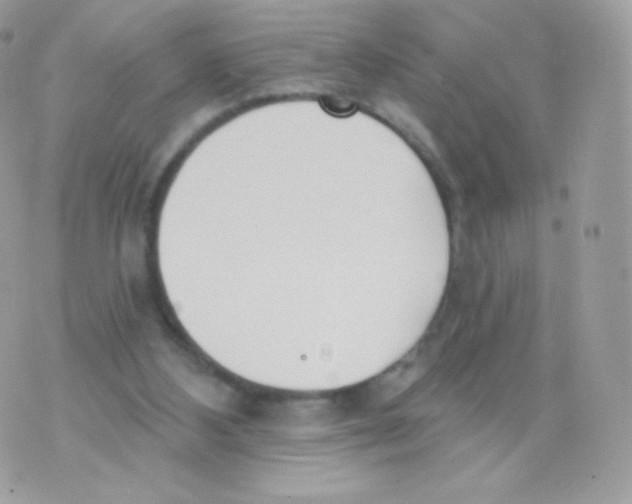 X0000074960108200609291923