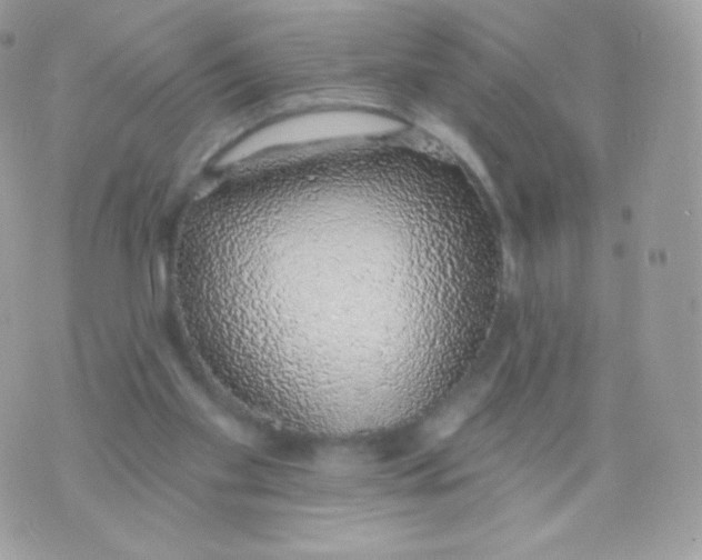 X0000074960109200609291923