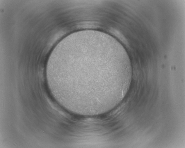 X0000074960111200609291923