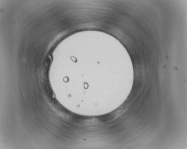 X0000074960112200609291923