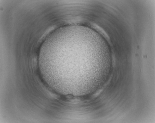 X0000074960113200609291923