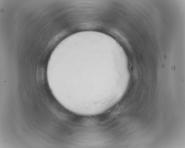 X0000074960115200609291923