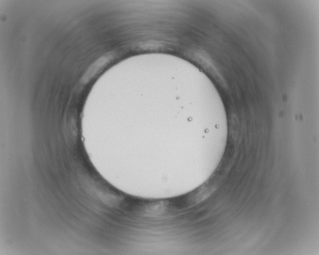 X0000074960116200609291923