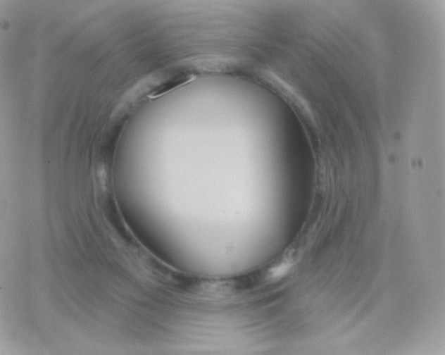 X0000074960117200609291923