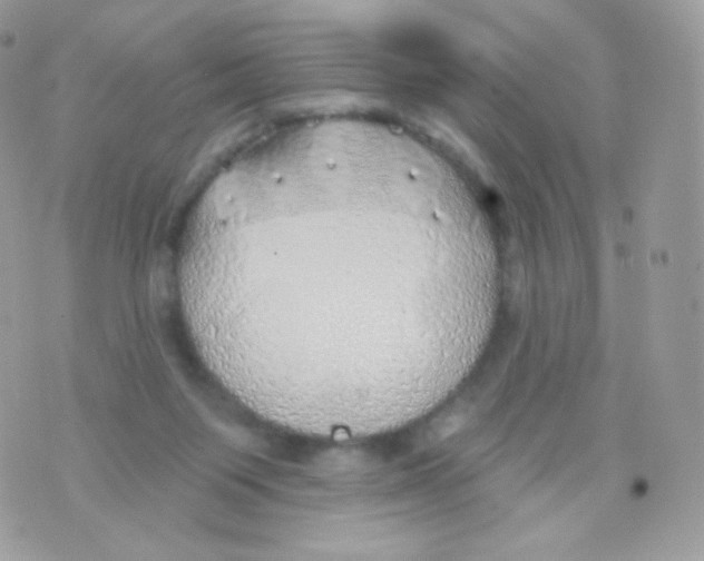 X0000074960119200609291922