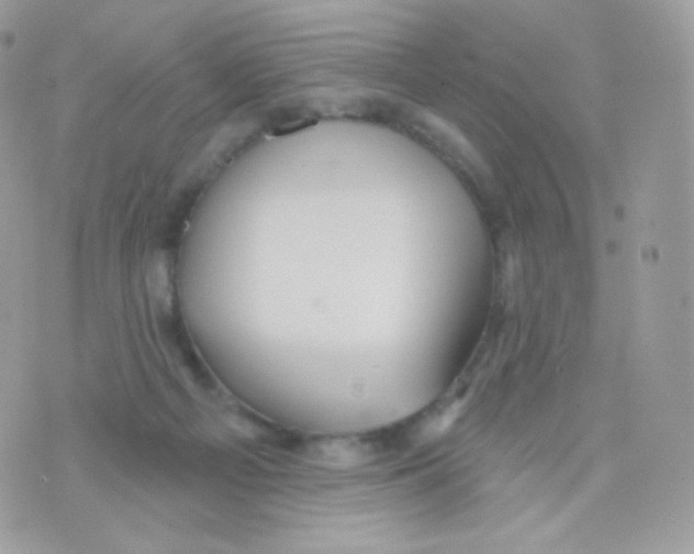 X0000074960121200609291922