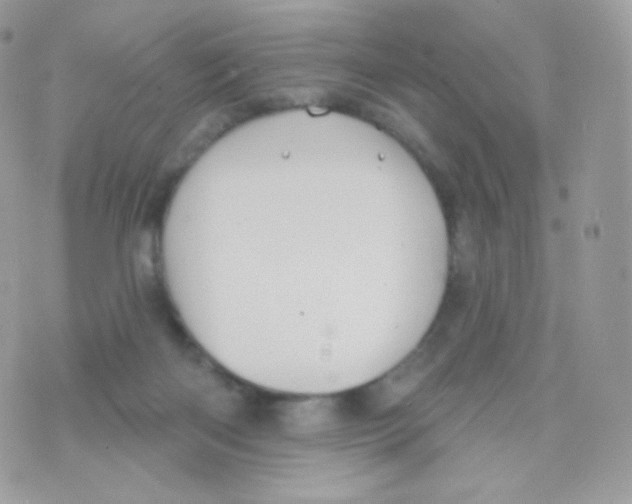 X0000074960122200609291922