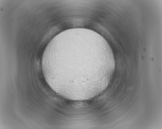 X0000074960123200609291922