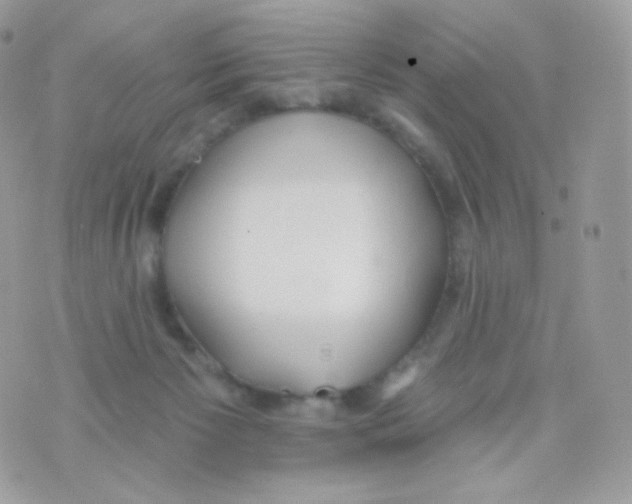 X0000074960125200609291922