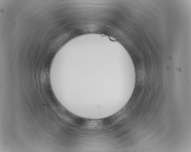 X0000074960126200609291922