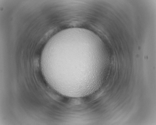 X0000074960127200609291922