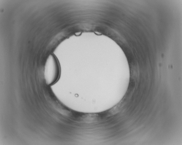 X0000074960128200609291922