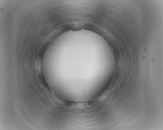 X0000074960129200609291922