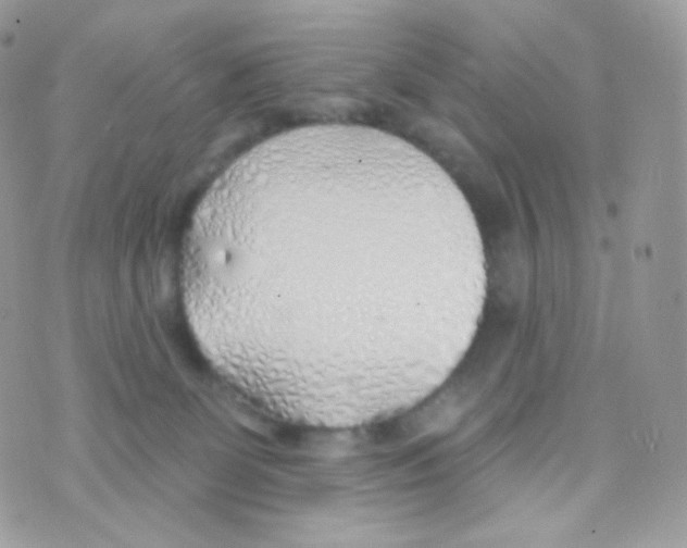 X0000074960131200609291922