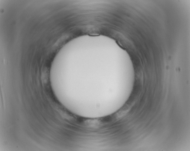 X0000074960133200609291922