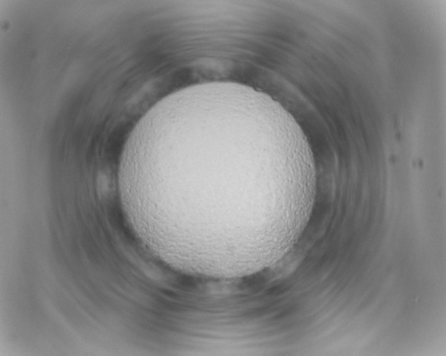 X0000074960134200609291922